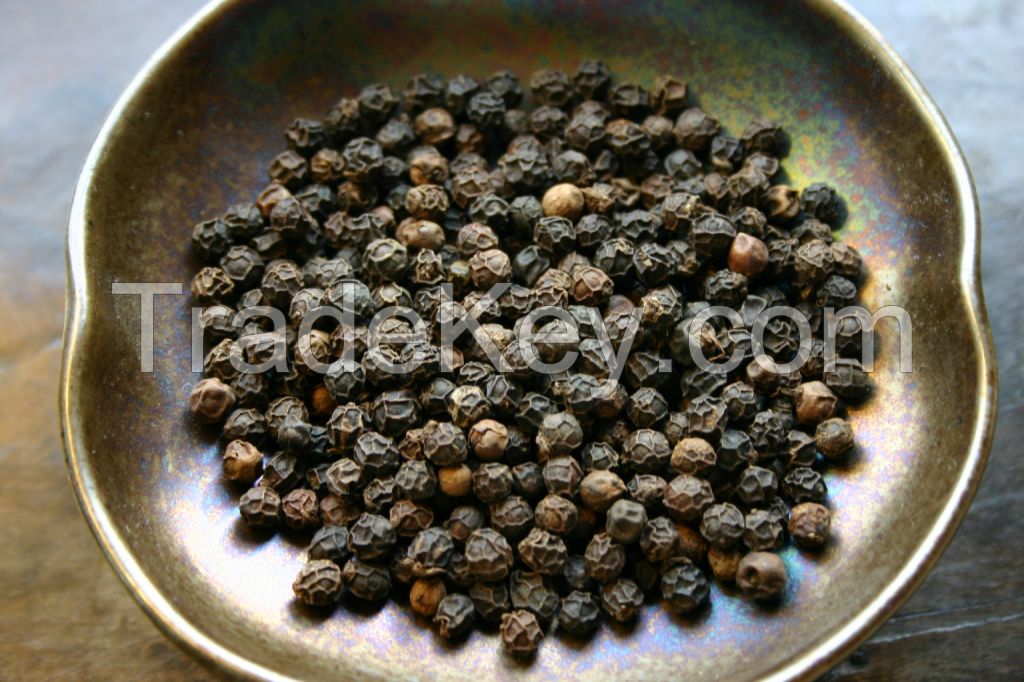 Quality Black pepper berries from malaysia, south east asia direct from farmers, spices, food, hu jiao