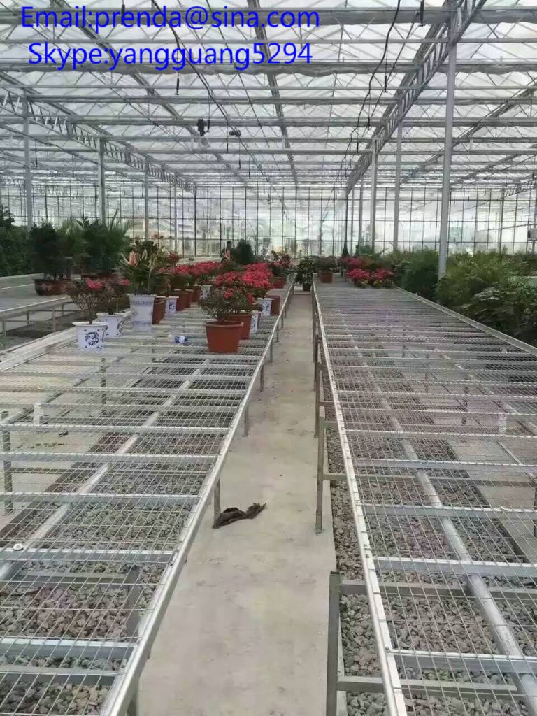movable bench system in greenhouse for grow plants