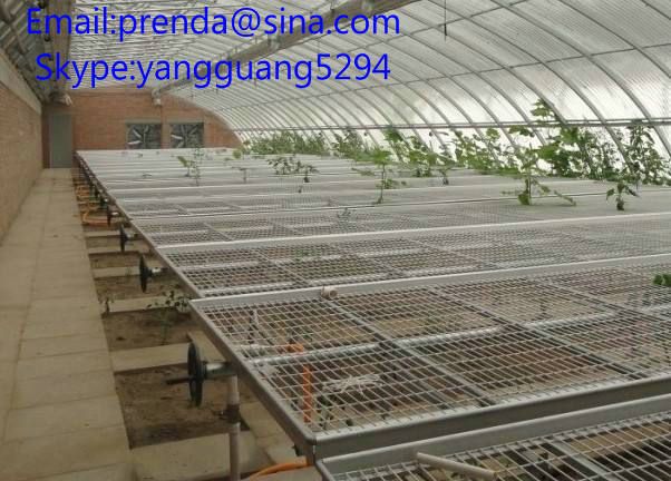 movable bench system in greenhouse for grow plants