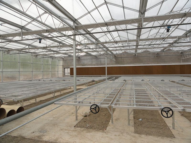 flow rolling bench in greenhouse for grow plants