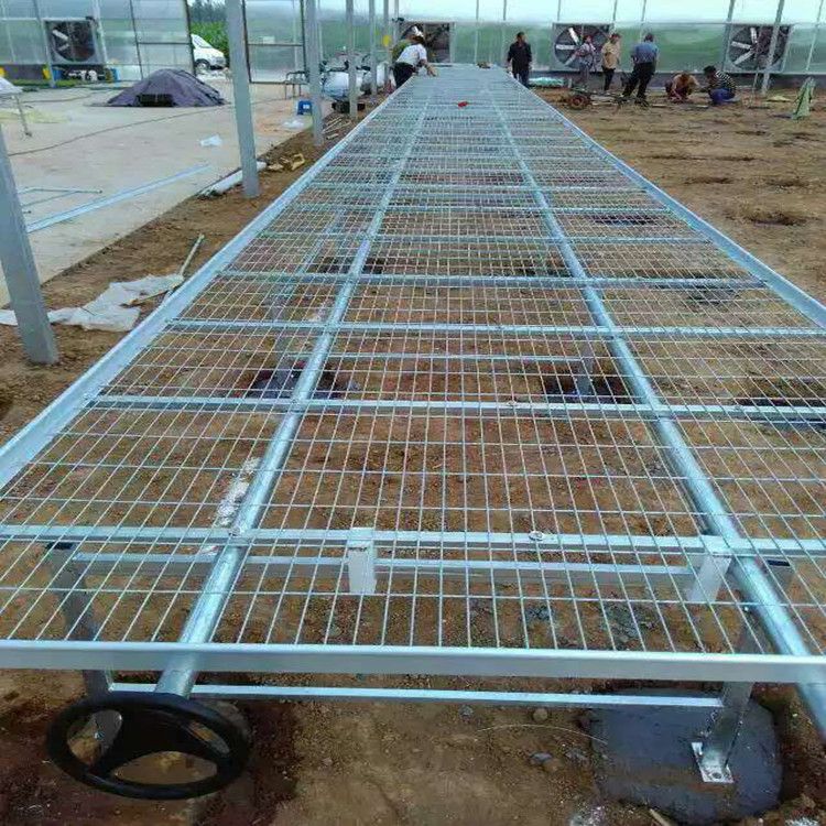 agriculture greenhouse seeding bed ,movable bench system