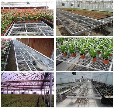 Planting dedicated greenhouse movable seedbed equipment and accessories