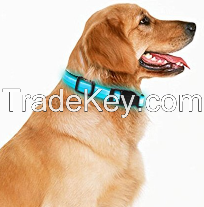 LED Dog Collar - USB Rechargeable Necklace - Makes Your Dog Visible, Safe & Seen, Multicolour with size S M L