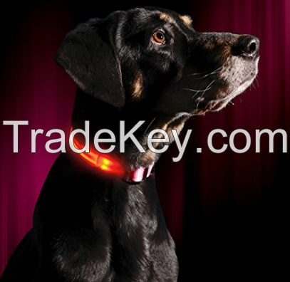 Safety LED Dog Collar â USB Rechargeable with Water Resistant Flashing Light