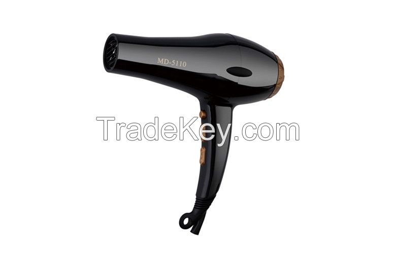 2200w Professional Hair Dryer