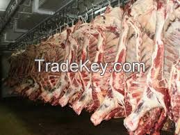 HALAL FROZEN/FRESH BEEF/MUTTON/CHICKEN