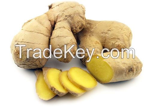 Fresh Ginger