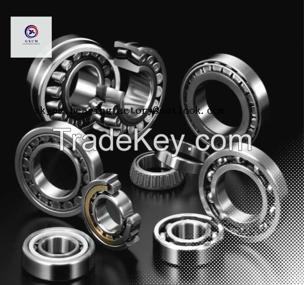 China Factory Supply Single Row and Double Row Taper Roller Bearing