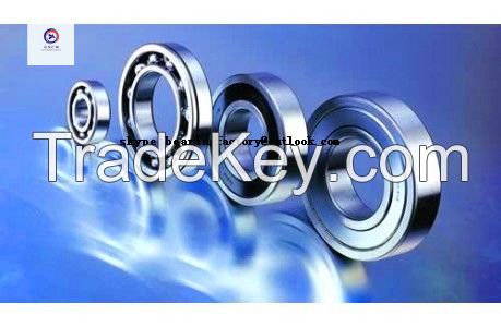 China Factory Supply Single Row and Double Row Taper Roller Bearing