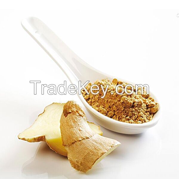 Factory Ginger Price!2017 AD Dehydrated Dried Ginger Powder/Flour