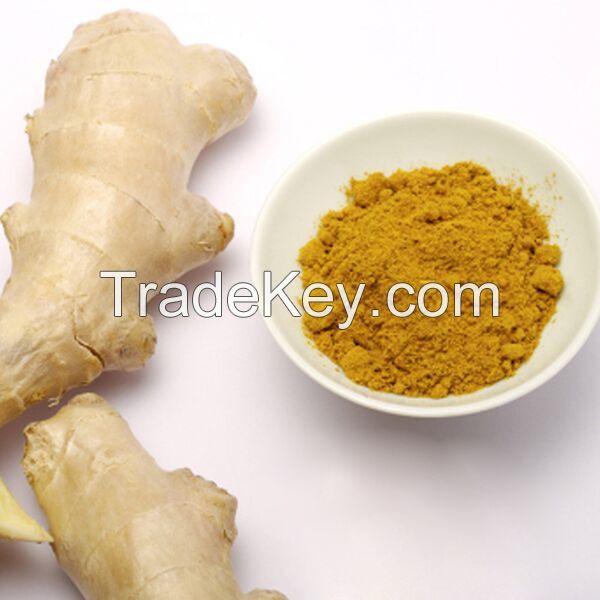 Factory Ginger Price!2017 AD Dehydrated Dried Ginger Powder/Flour