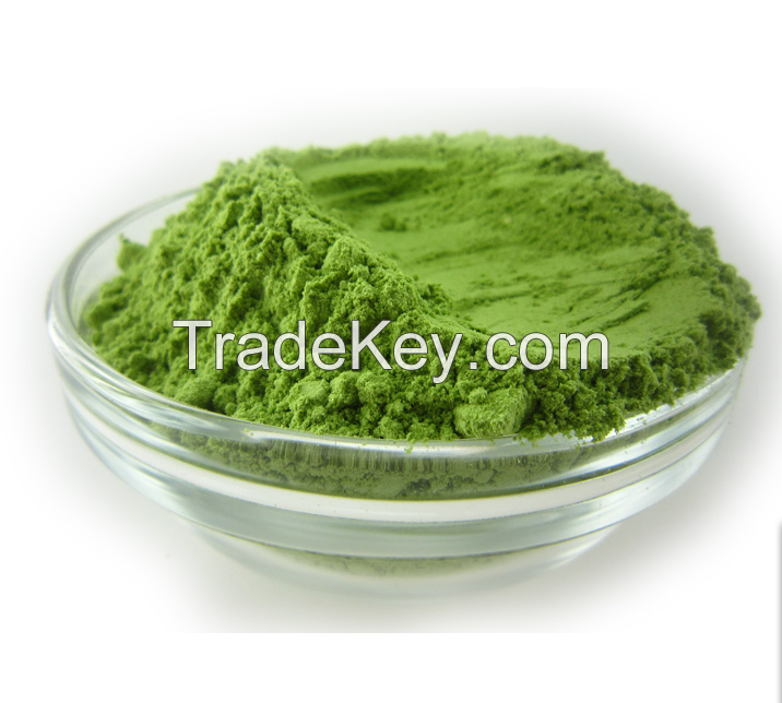 AD Dehydrated Barley Grass Green Powder with High Quality and Low Price