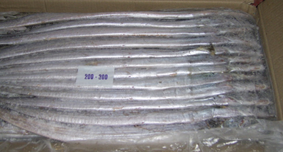 RibbonFish