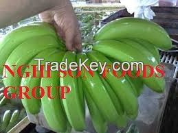 Fresh Cavendish Banana