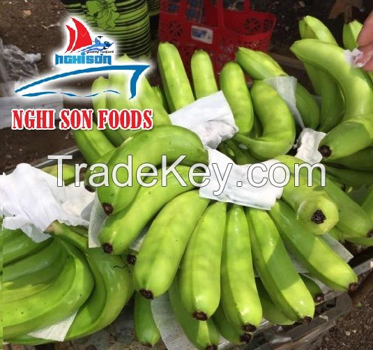 Vietnam Fresh Cavendish Bananas (+841214627828)