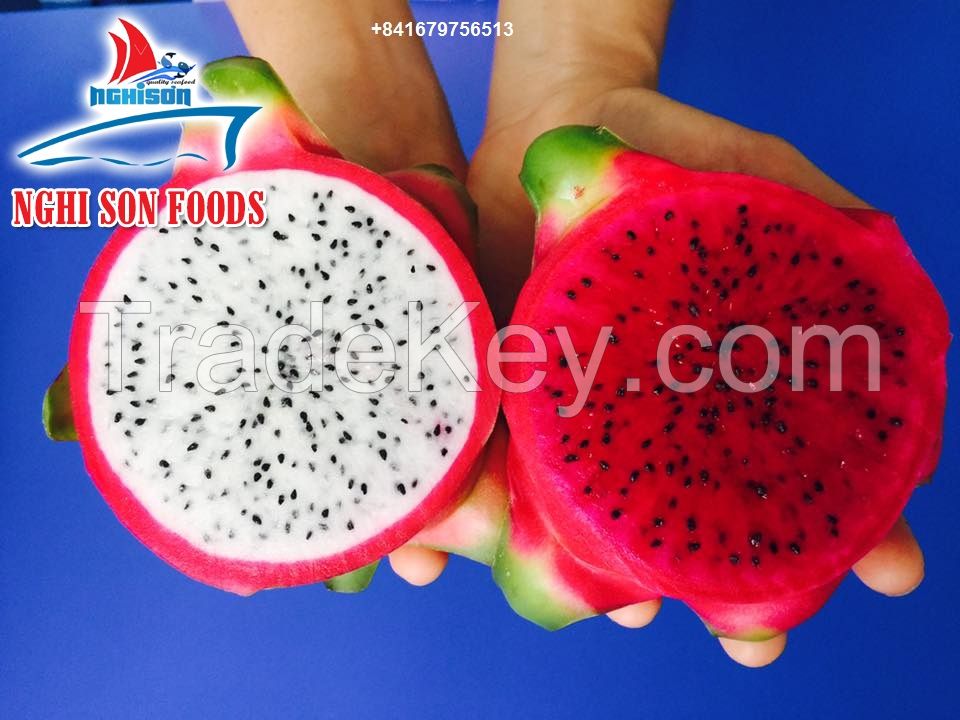 VIETNAMESE FRESH DRAGON FRUIT WITH WHOLESALE PRICE