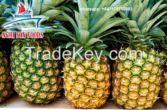 VIETNAMESE FRESH PINEAPPLE WITH WHOLESALE PRICE