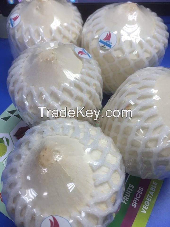 BEST SELLER VIETNAMESE FRESH COCONUT