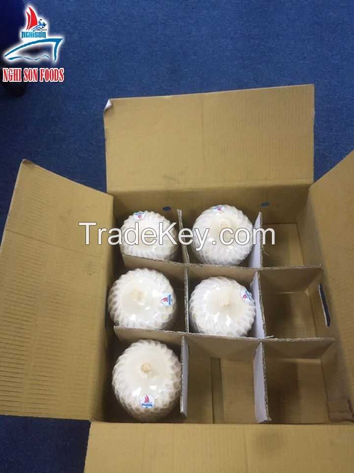 BEST SELLER VIETNAMESE FRESH COCONUT