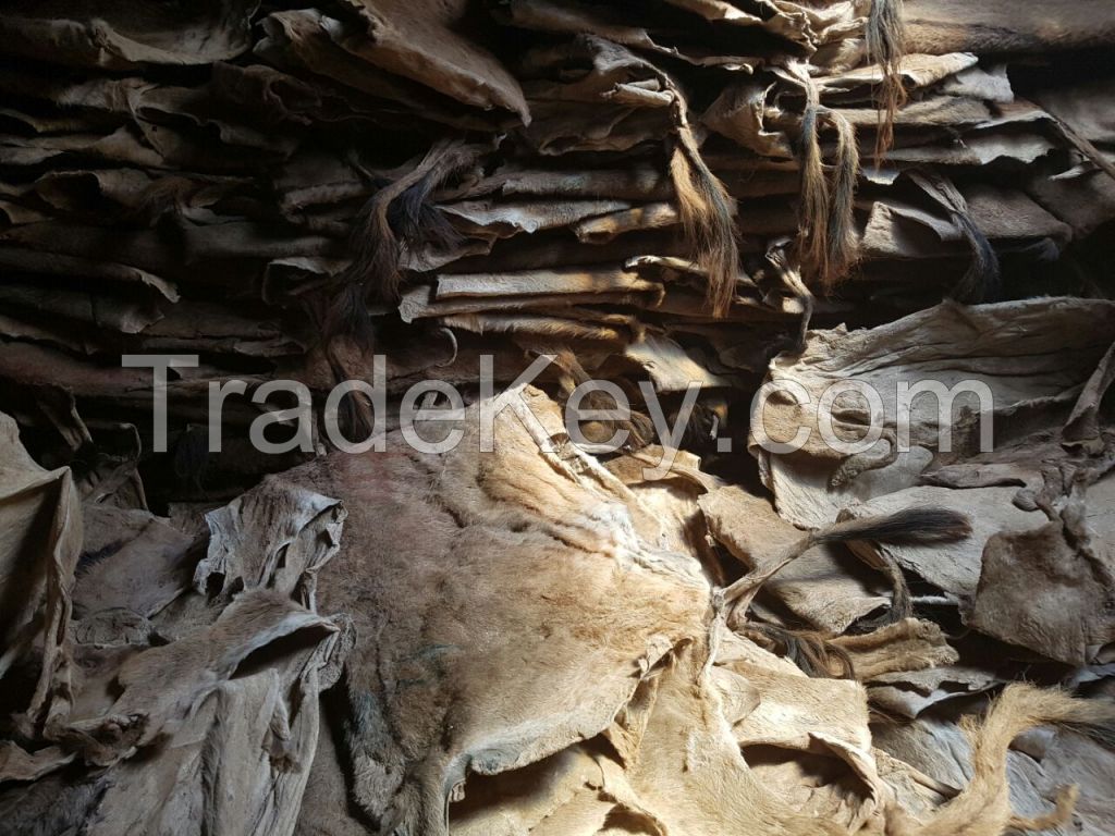 Wet/Dry Salted Donkey Hides, Cow Hides, Goat Hides.