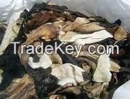 Quality Wet/Dry Salted Donkey Hides, Cow Hides, Goat Hides (Skin).