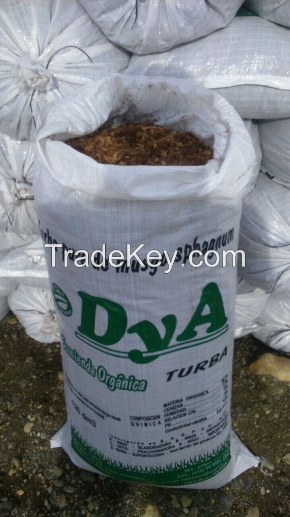 Peat Moss