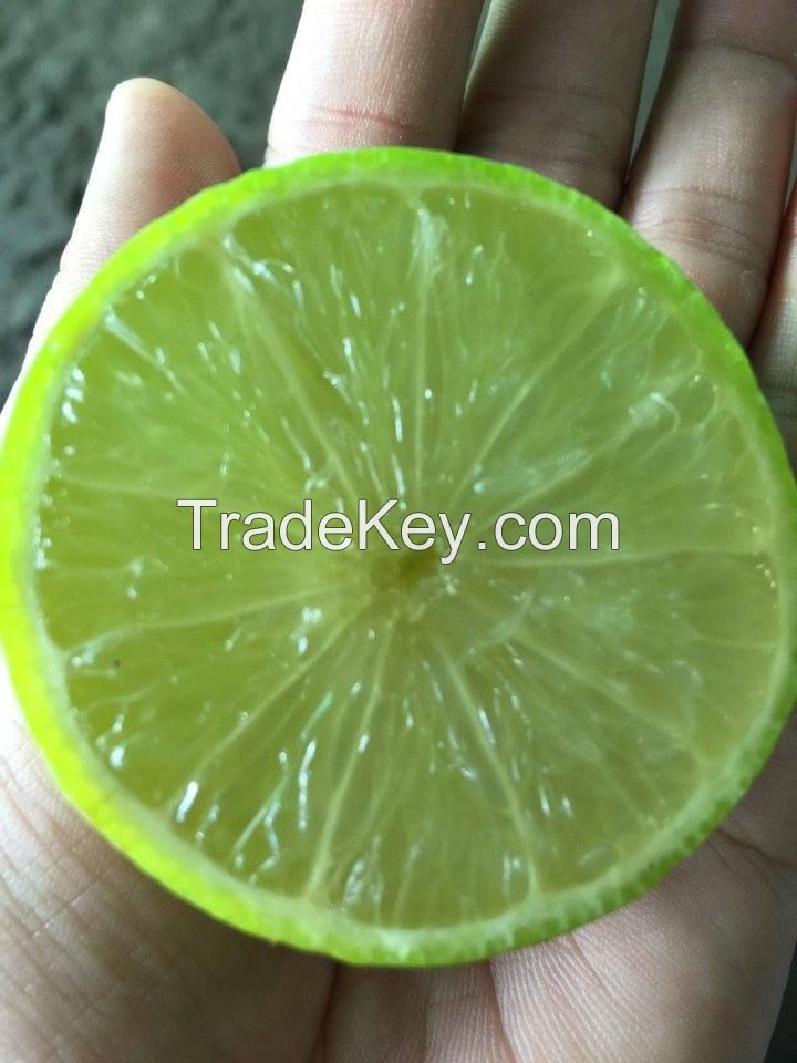 Fresh Seedless/seed Lime