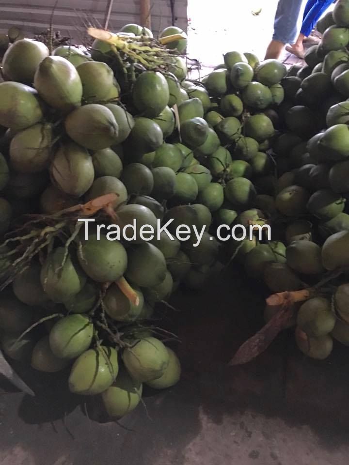 Sell Fresh Young Coconut
