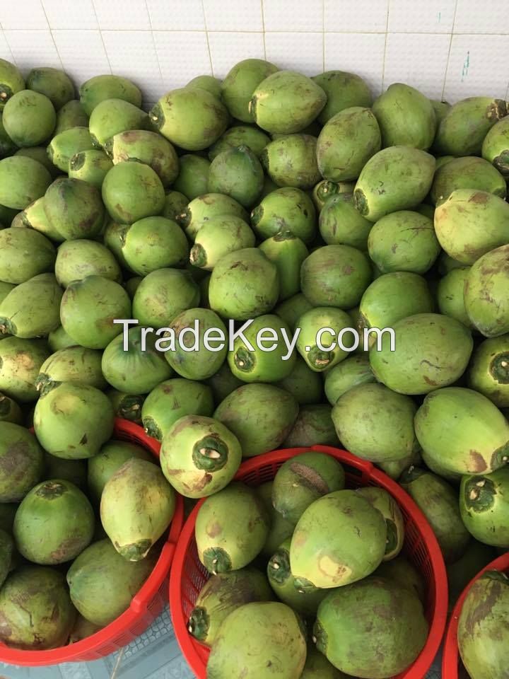 Sell Fresh Young Coconut