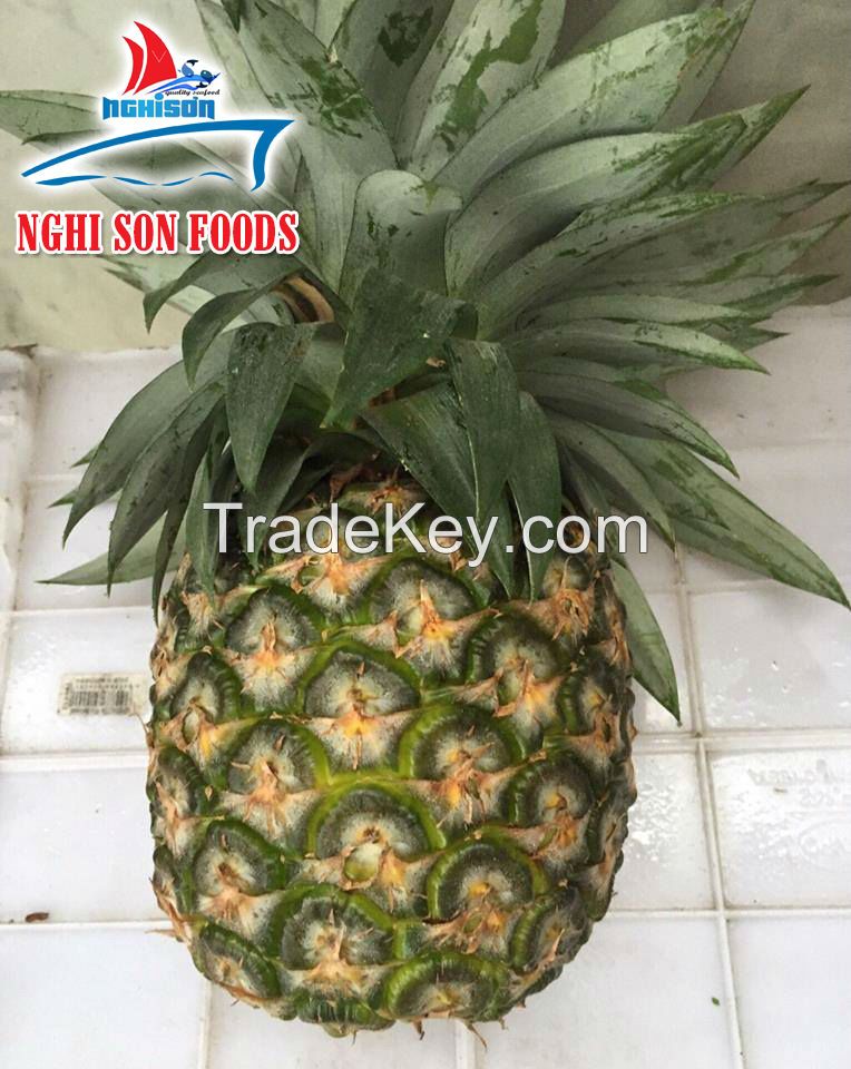 Fresh Pineapple