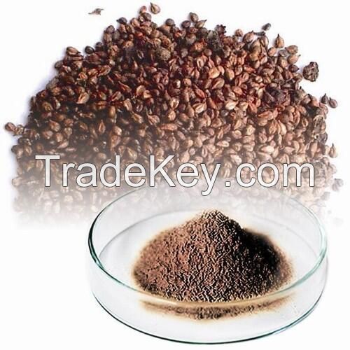 Organic Grape Seed Extract, Natural Grape Seed Extract Powder, Grape Seed Extract Proanthocyanidin