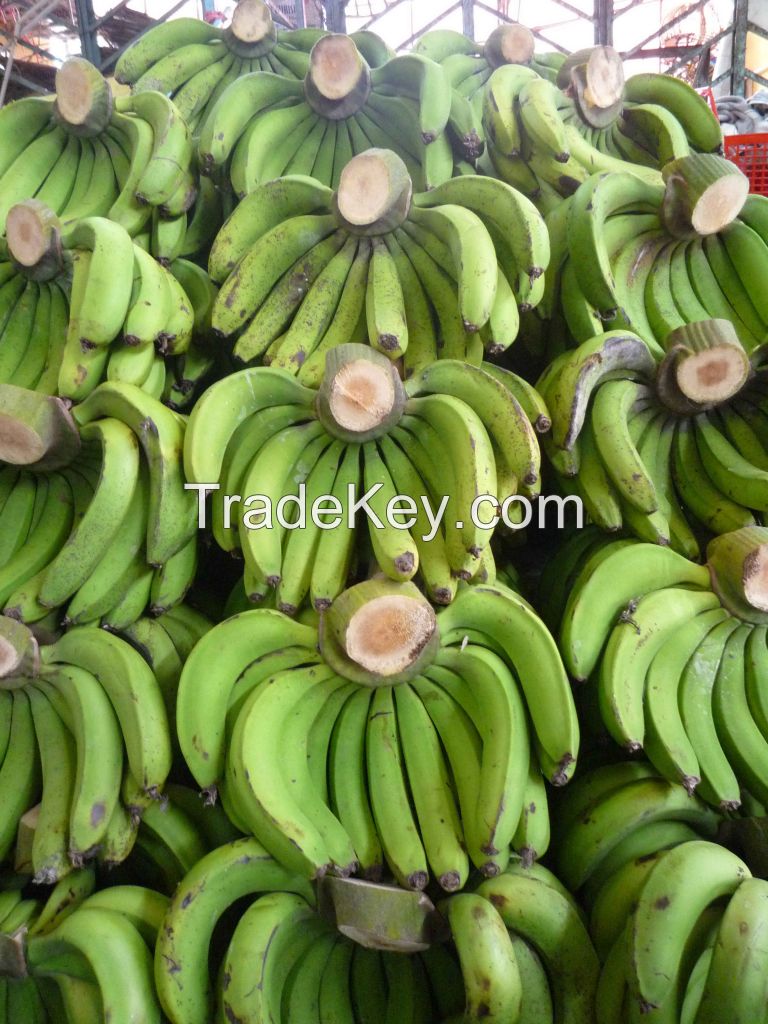 Fresh Banana