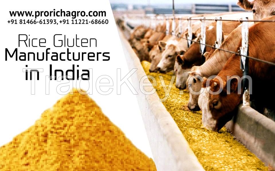 Rice Gluten Meal