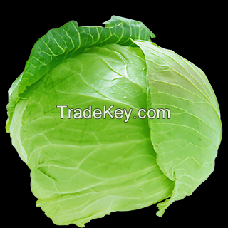 best grades  fresh fruits and vegetables for sale  at best price