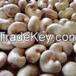 Cashew Nuts | Raw Cashew Nuts