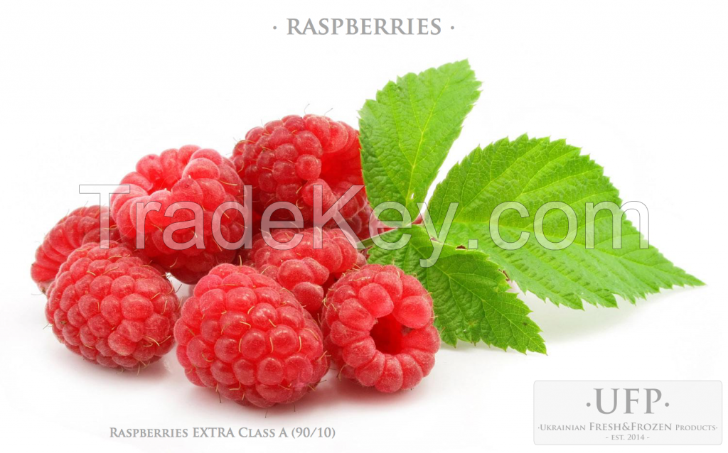 BQF Raspberries EXTRA Class A (90/10)