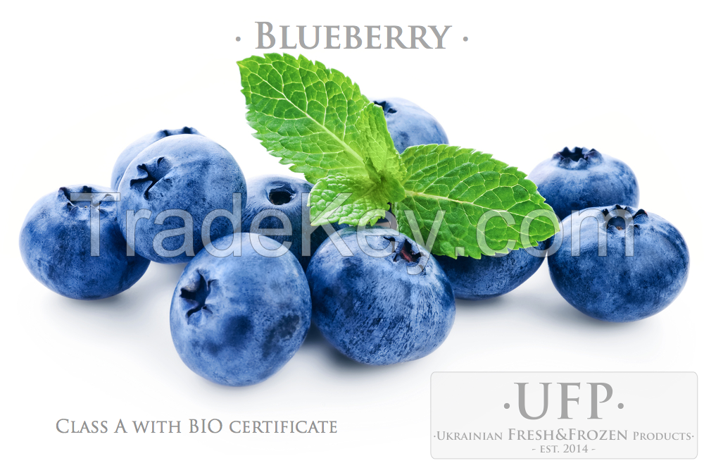 BQF Blueberries Class A with BIO certificate