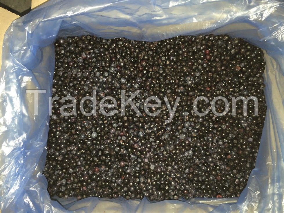 BQF Blueberries Class A with BIO certificate