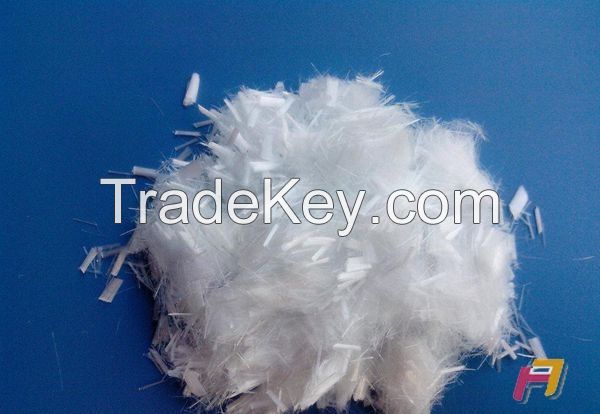 Polyester Fiber