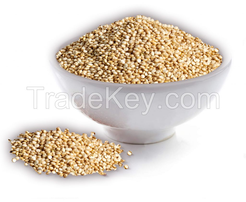 Organic and Conventional White Quinoa
