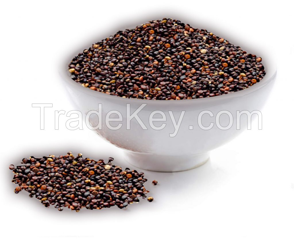Organic and Conventional Black Quinoa