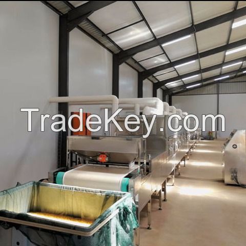 Continuous belt type Food drying sterilization machine