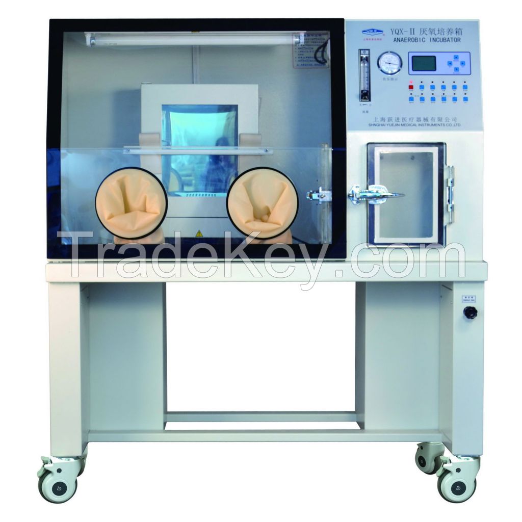 Anaerobic Incubator (YQX-I AND YQX-II)