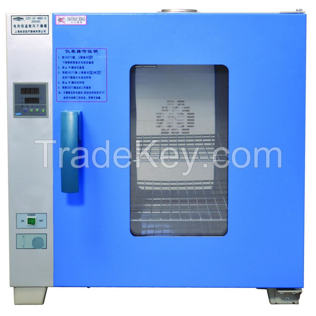 Electrothermal Blast Drying Oven - 9123A