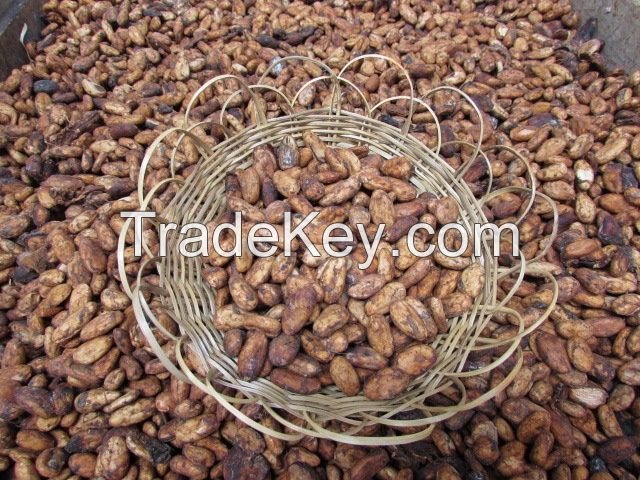 100% certified organic cocoa - raw beans