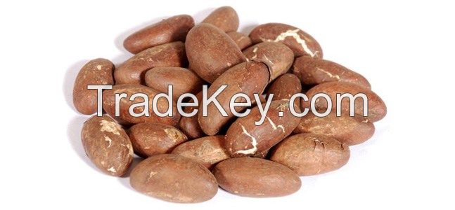 bitter kola nuts