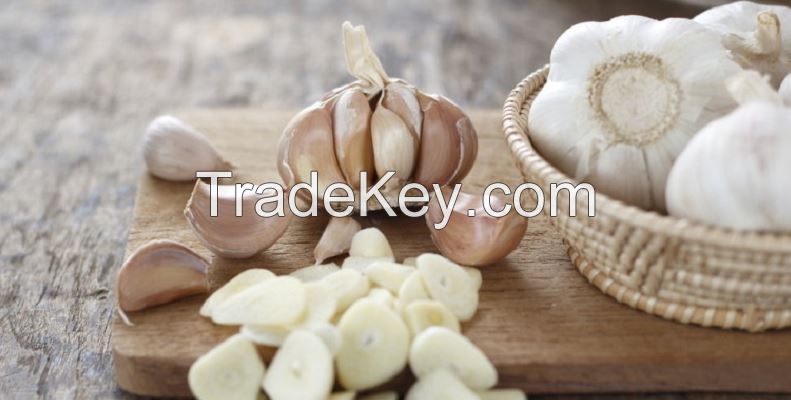 Garlic