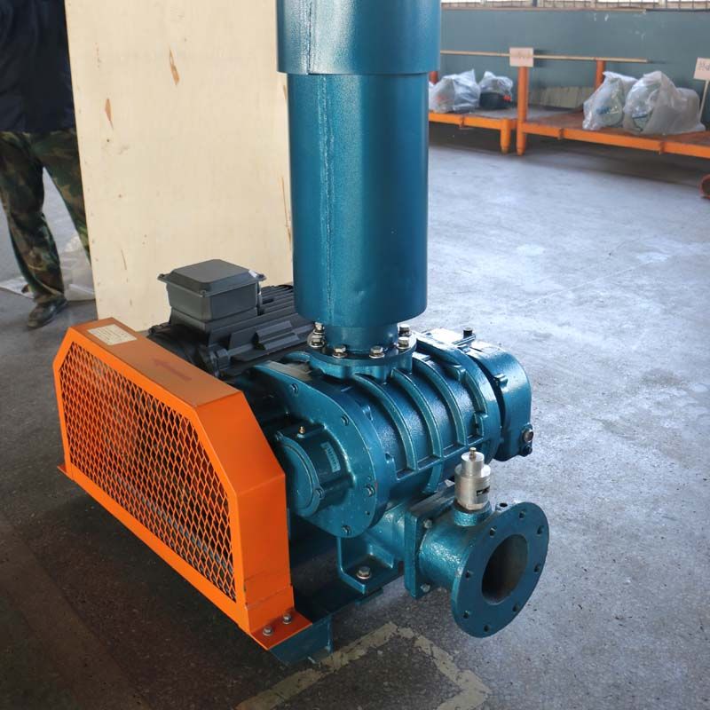 Roots type rotary blower