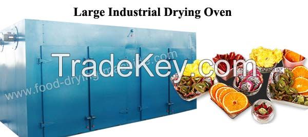 Large hot air circulation drying oven