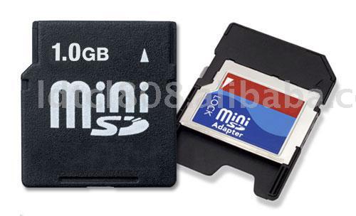 Mini SD card